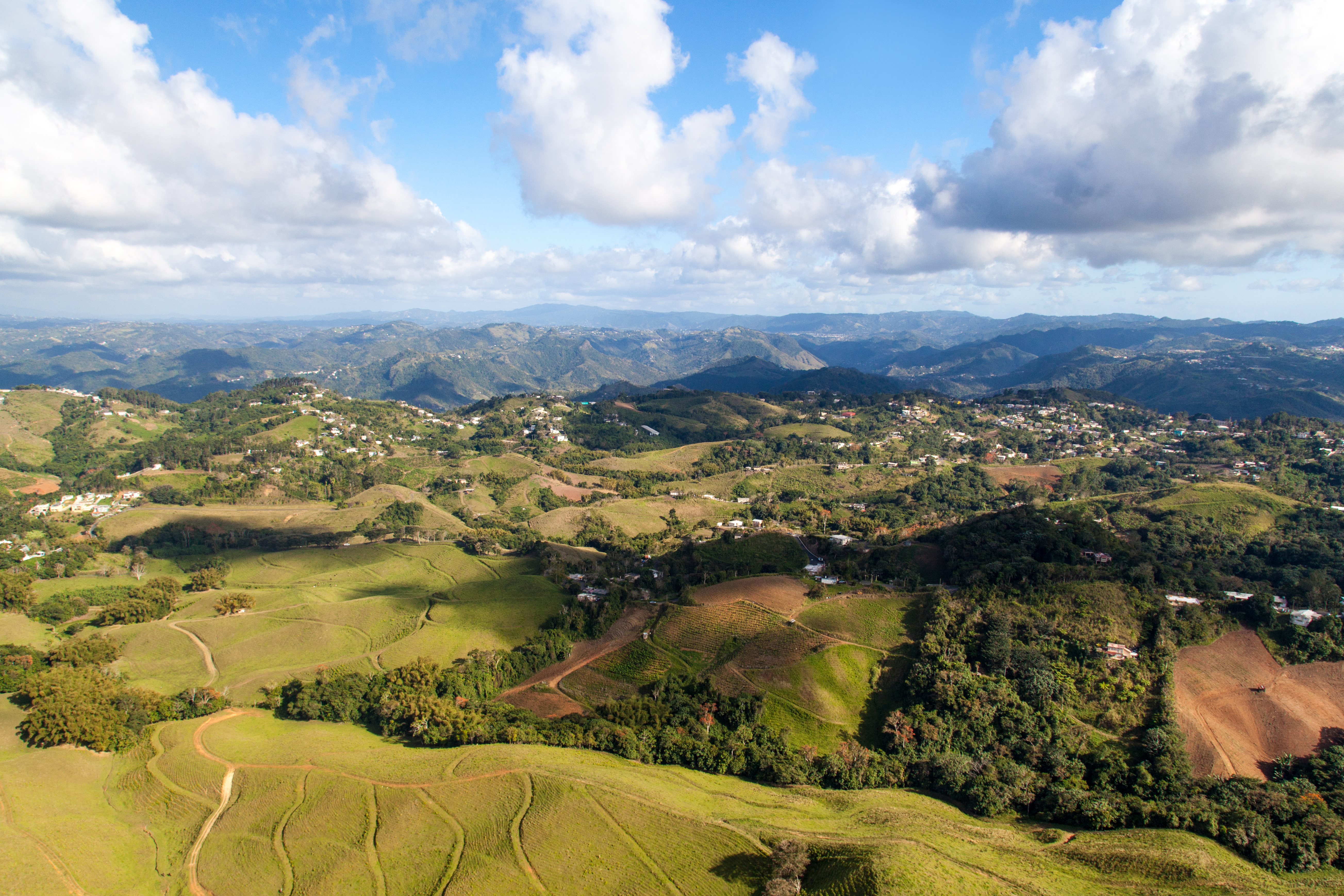 4-day Coffee Country Tour