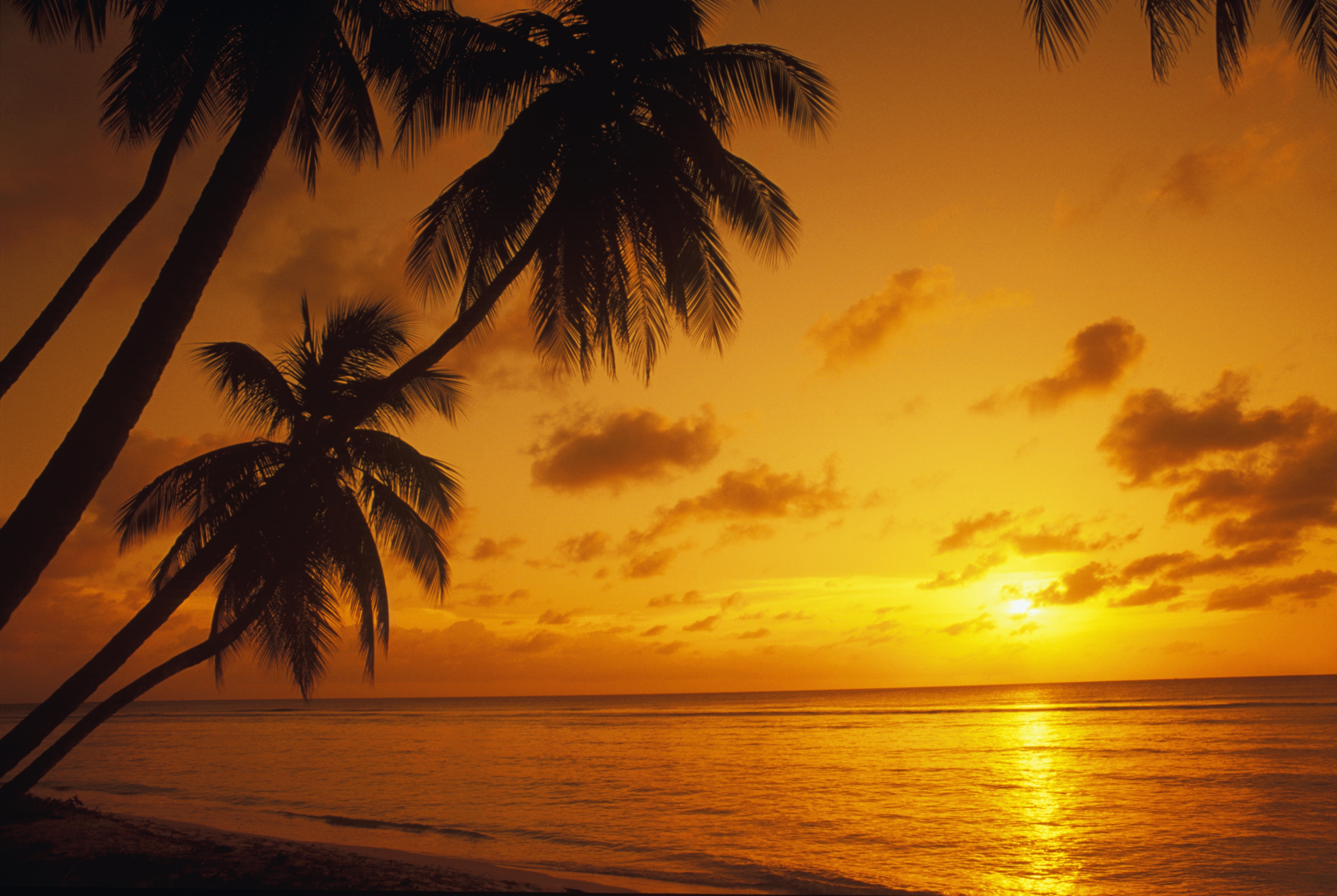  Can’t Miss Beaches, Food, & Drinks: 5-day Itinerary