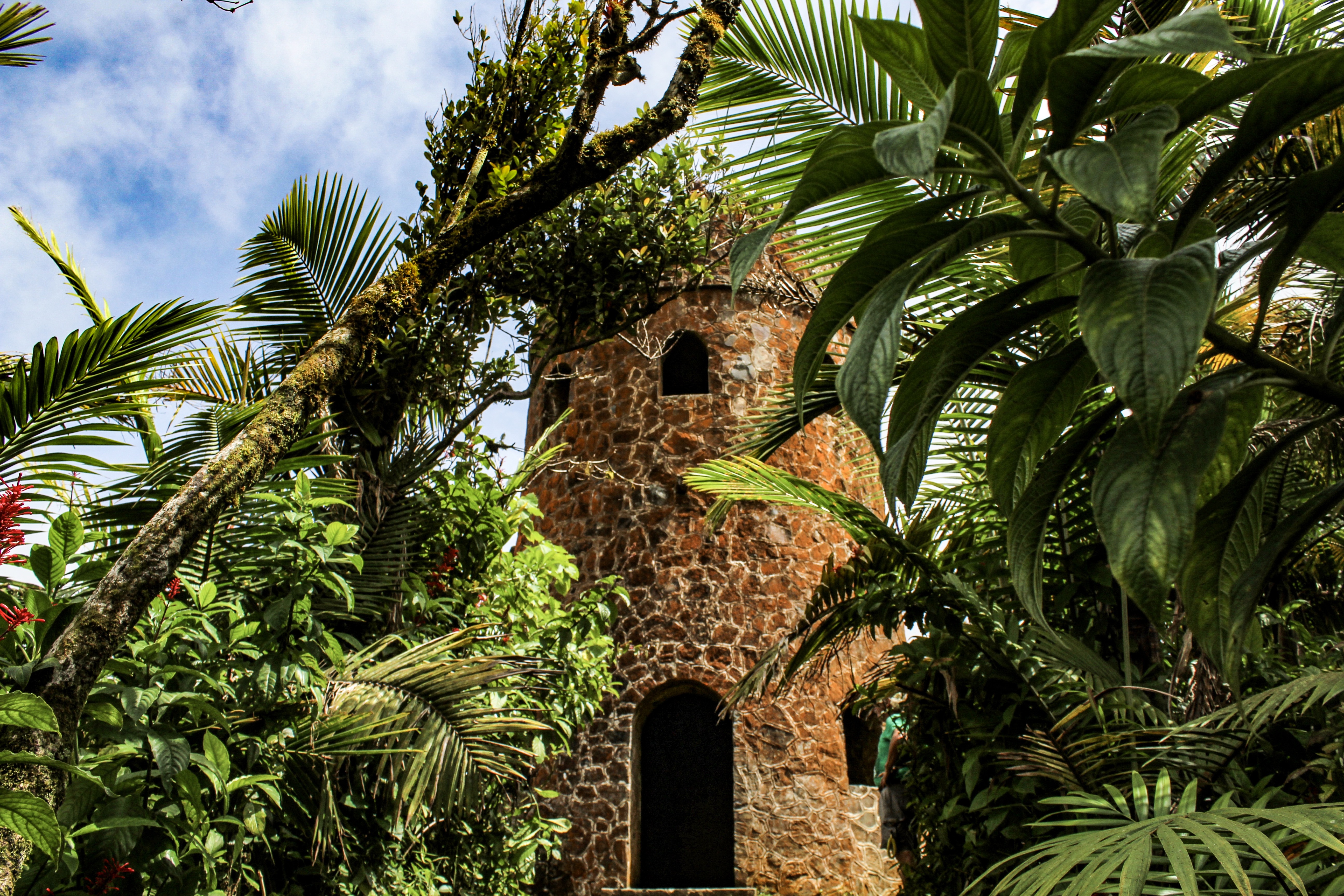 A Week Long Adventure in Puerto Rico